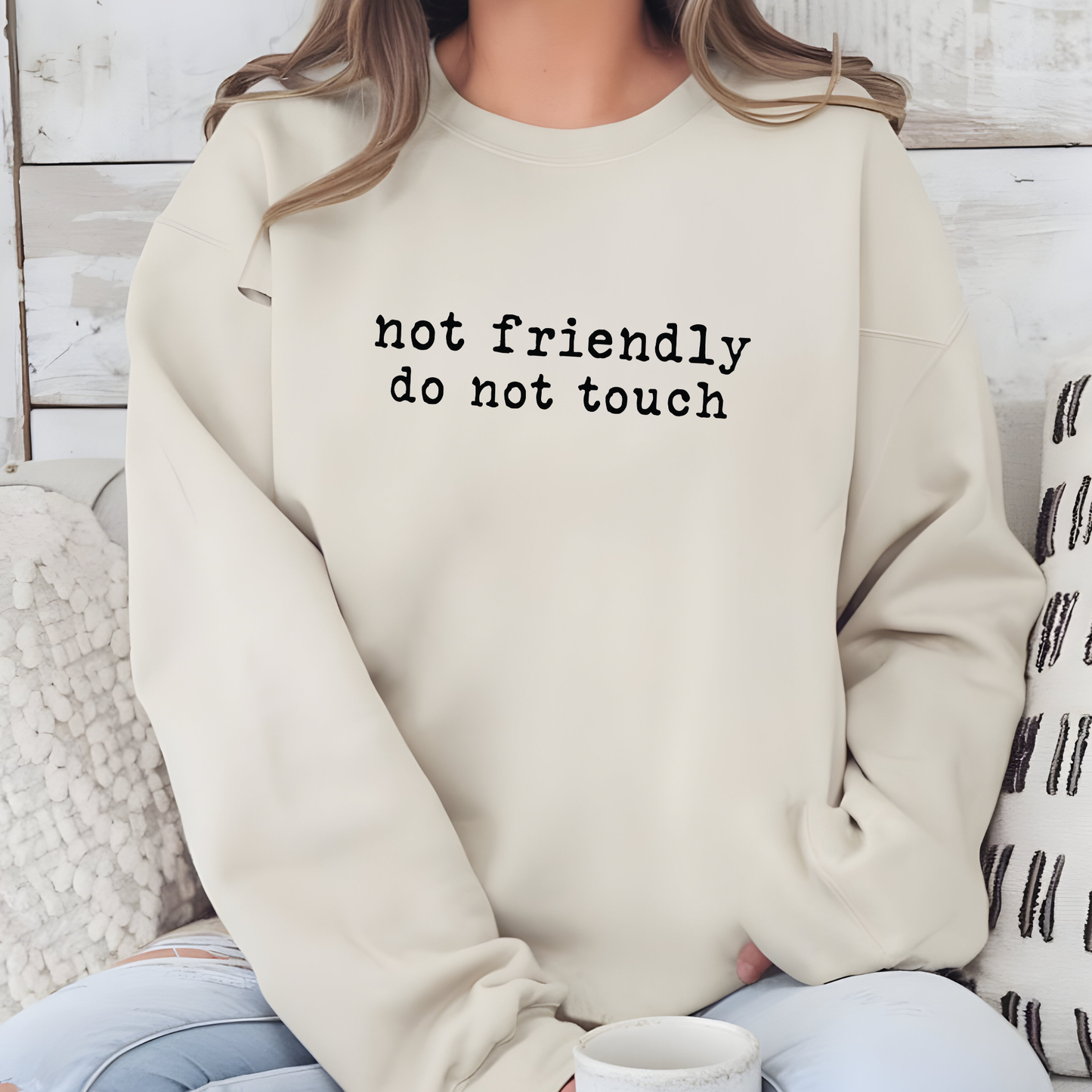 Not Friendly Do Not Touch Sweatshirt