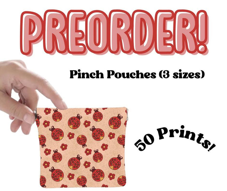 Run 528 ~ Closes 10/5 Pinch Pouches