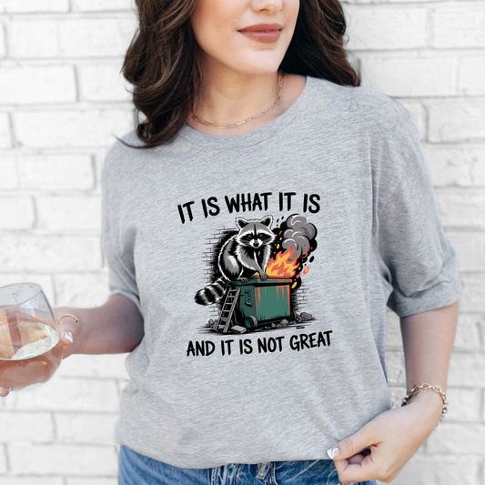 It Is What It Is Raccoon Graphic Tee - Alonna's Legging Land