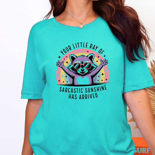Little Ray of Sarcastic Graphic Tee - Alonna's Legging Land
