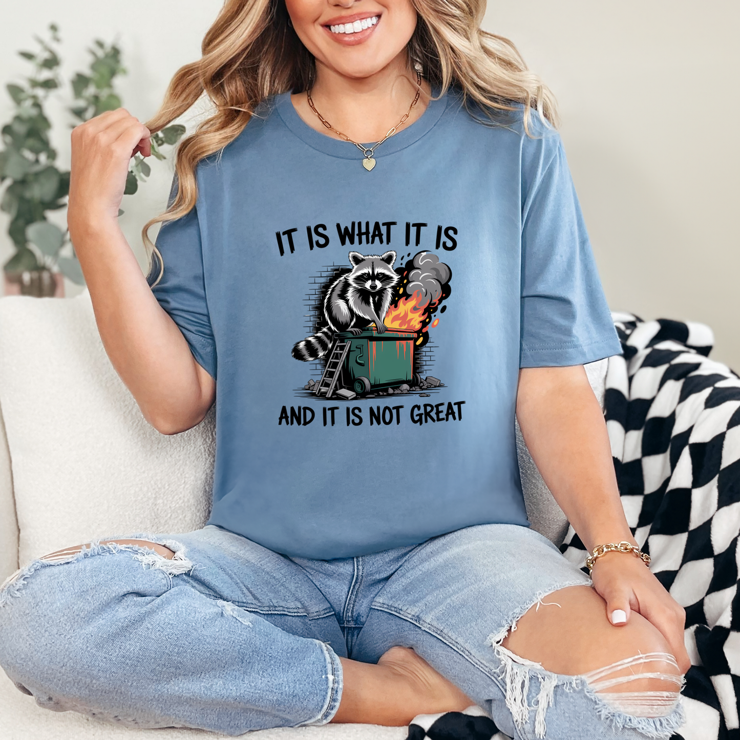 It Is What It Is Raccoon Graphic Tee - Alonna's Legging Land