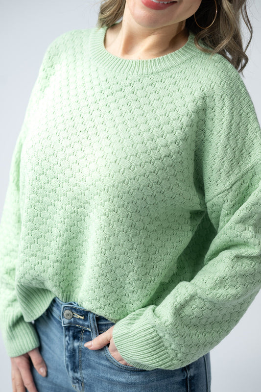 IN STOCK Gianna Pullover Sweater - Spring Sage Green - Alonna's Legging Land