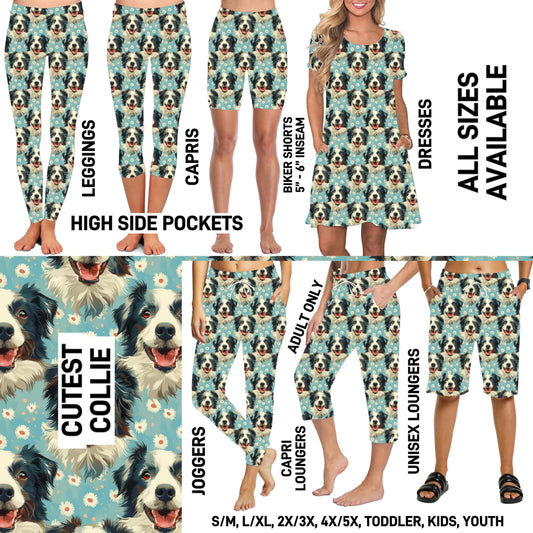 D1GB - Cutest Collie - Preorder Closing 12/9 ETA: Mid-Feb