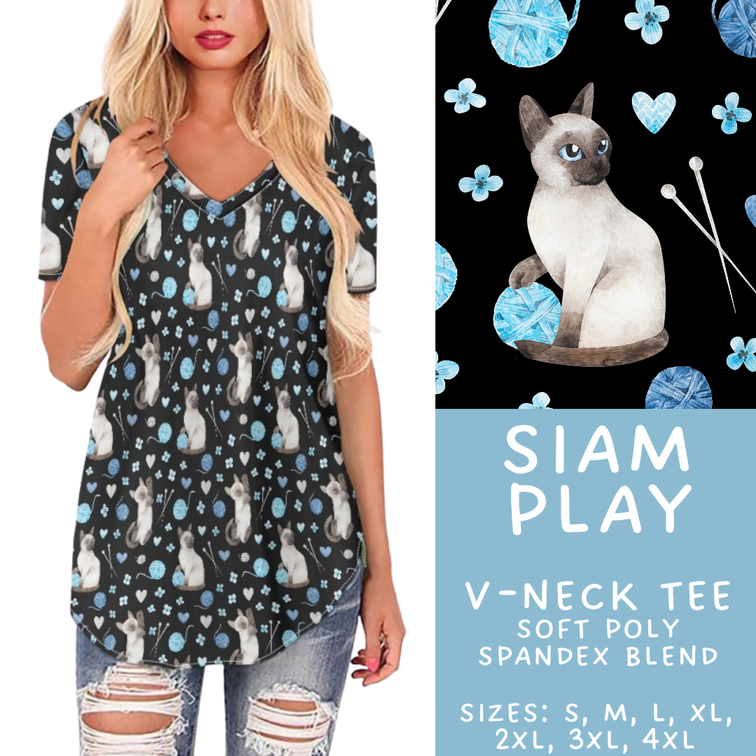 Batch #411 - July Request Run - Closes 9/11 - ETA late October - Siam Play V-Neck Tee