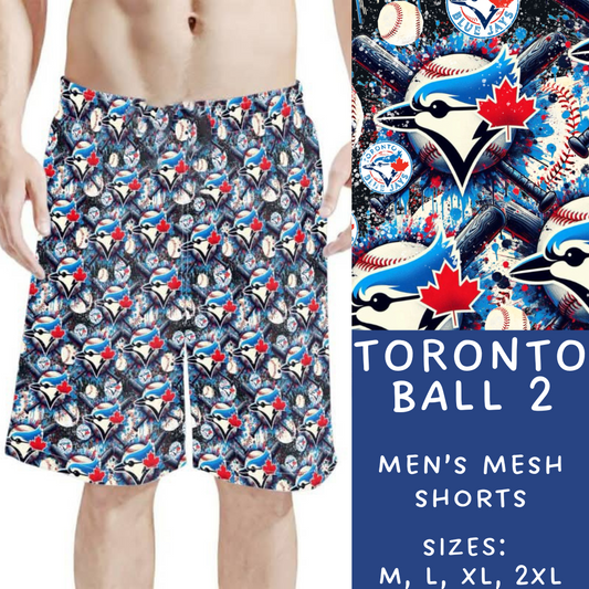 Batch #498 - Strike Out 3 - Closes 3/2 - ETA early May - Toronto Ball 2 Men's Shorts